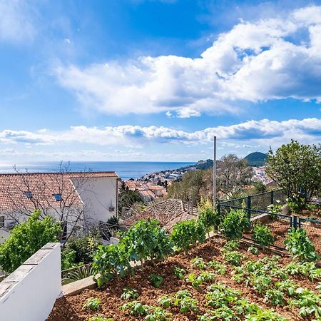 Apartment Debos Dubrovnik Exterior foto
